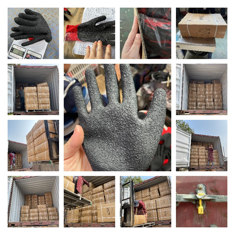 20GP Container Loading - 10.3 0